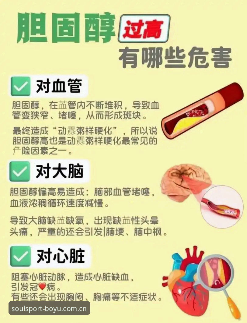 2026一座城市的运动心脏兼容版使用教程：从下载到观赛的全流程操作指南